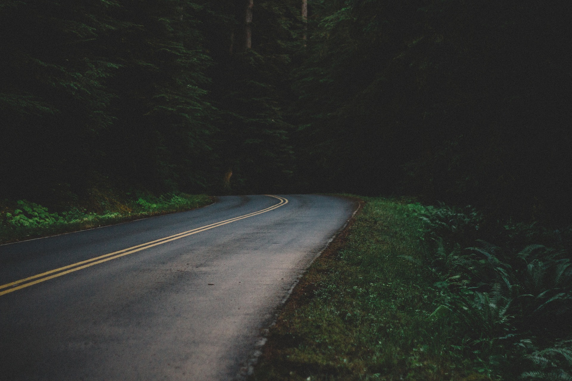 West Virginia Scenic Road Trips-image