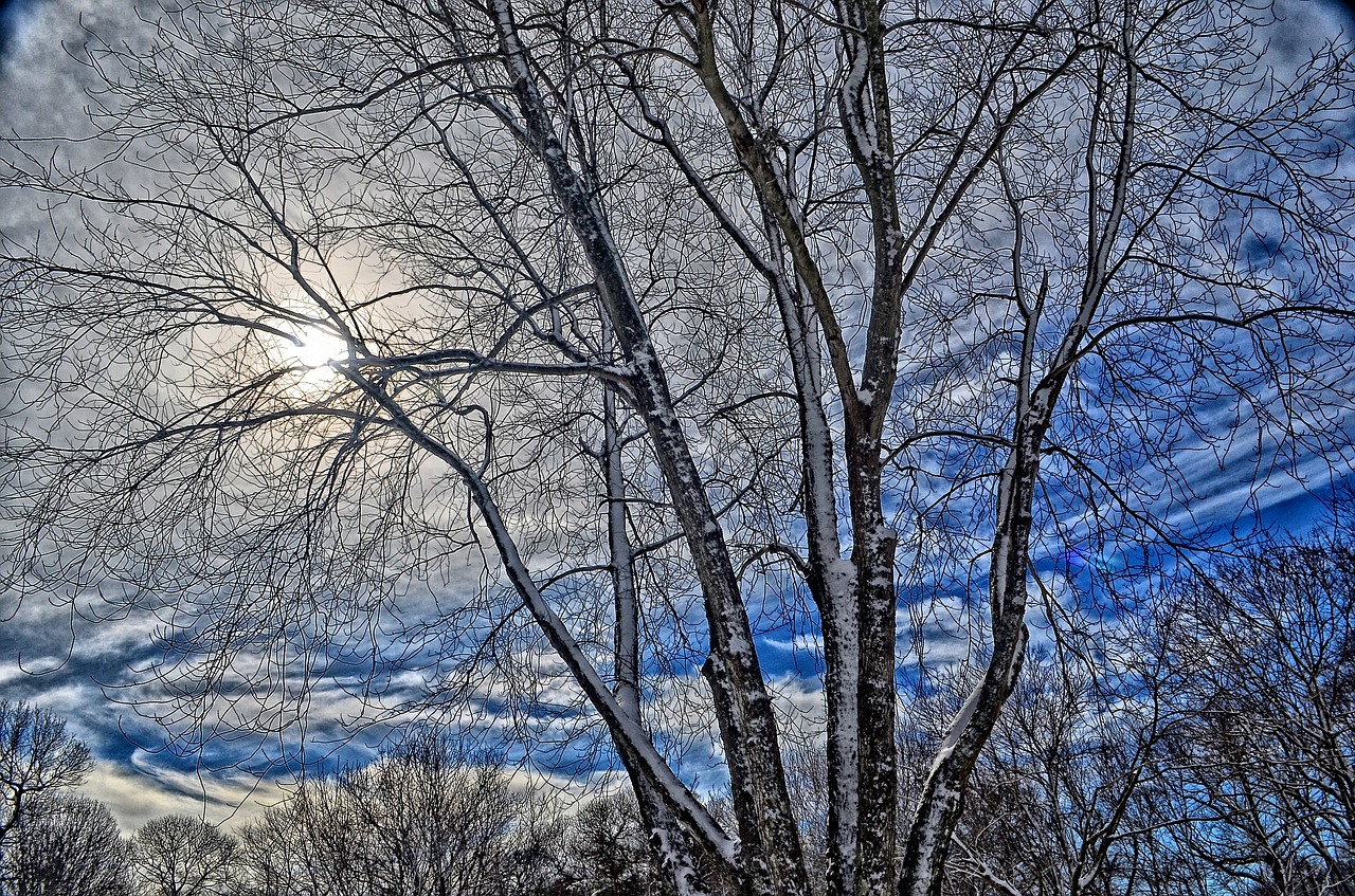 Fun Things to Do this Winter-image