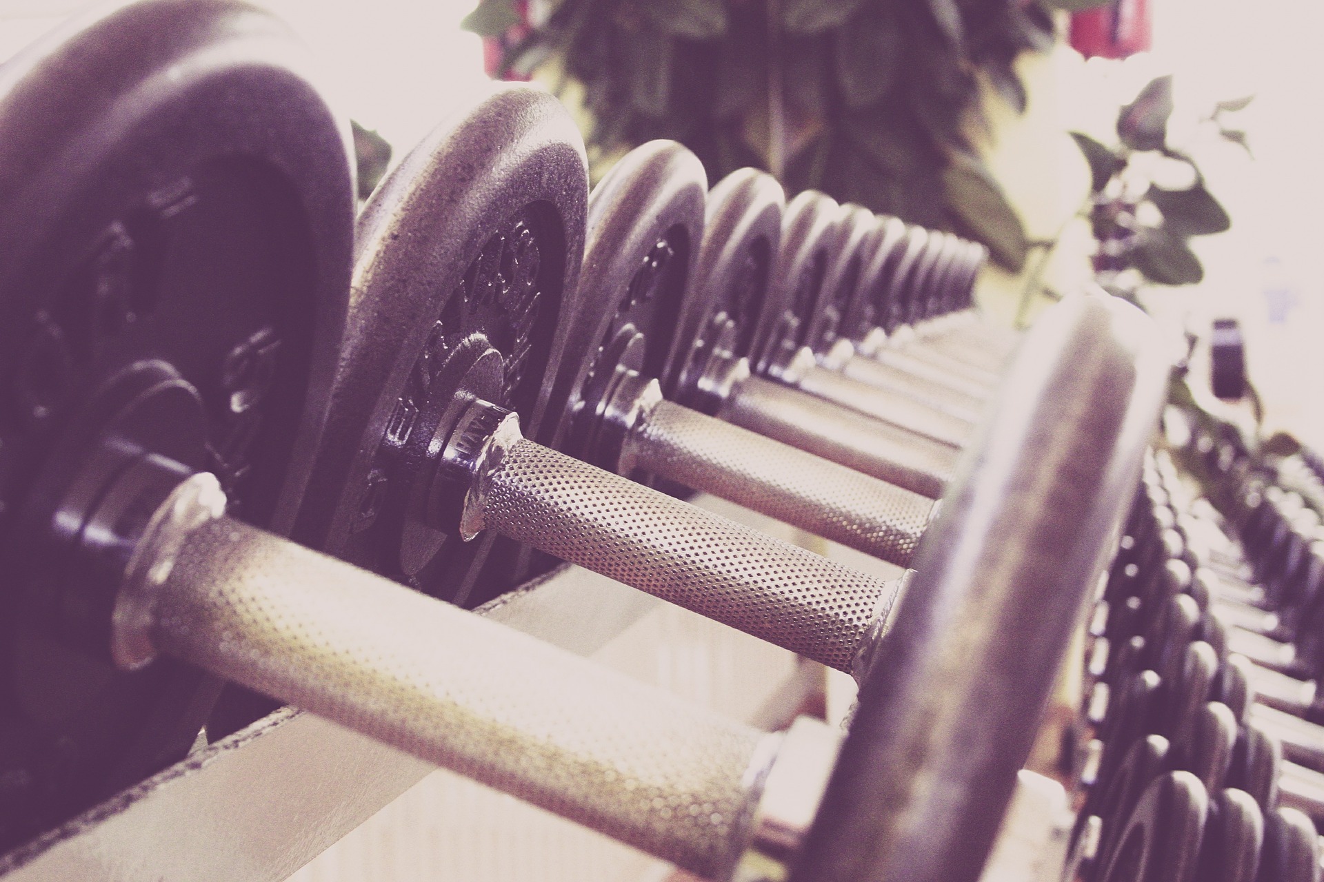 New Years Resolutions at Pierpont Place-image