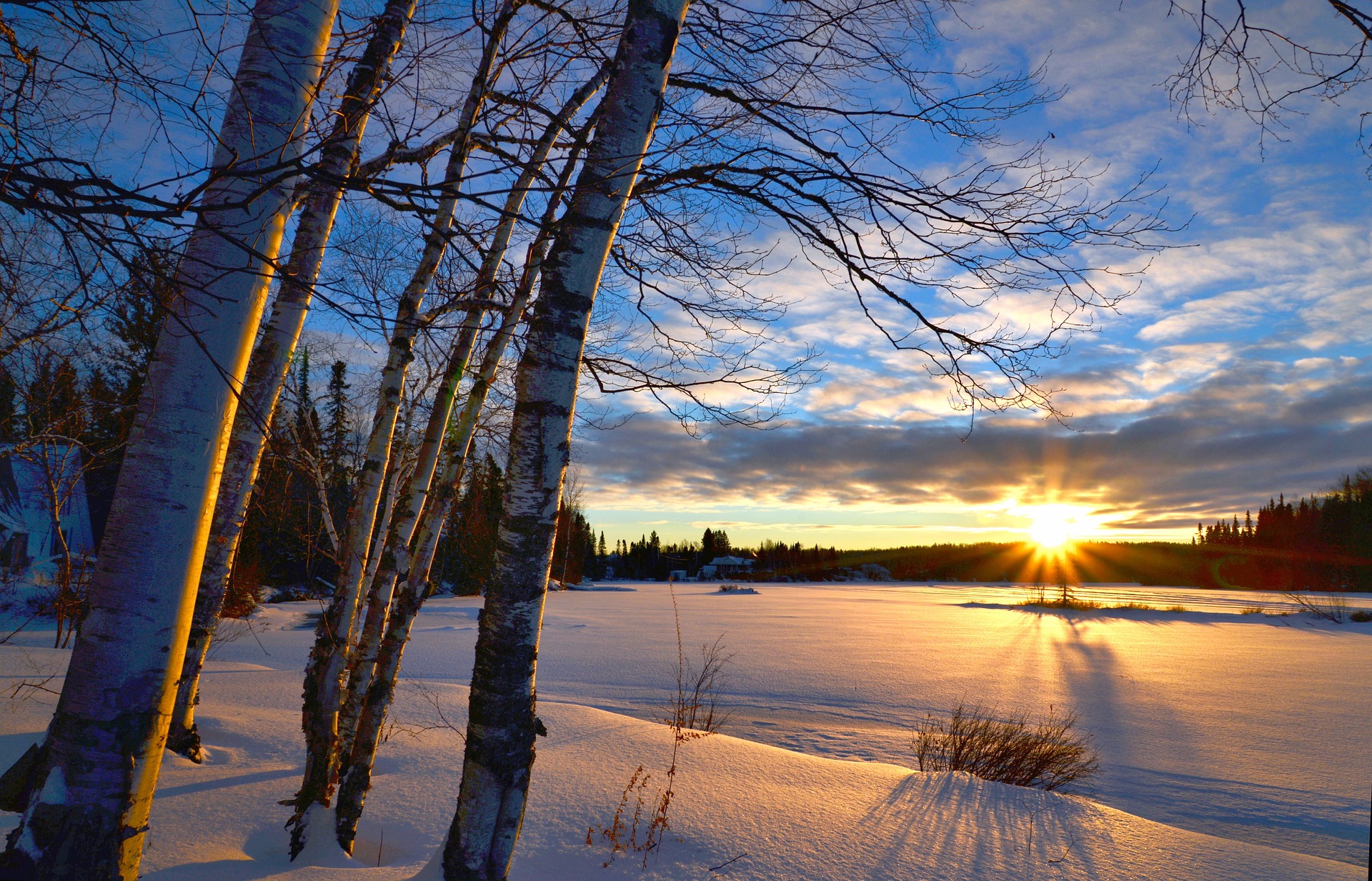 How to Productively Spend Your Snow Days-image