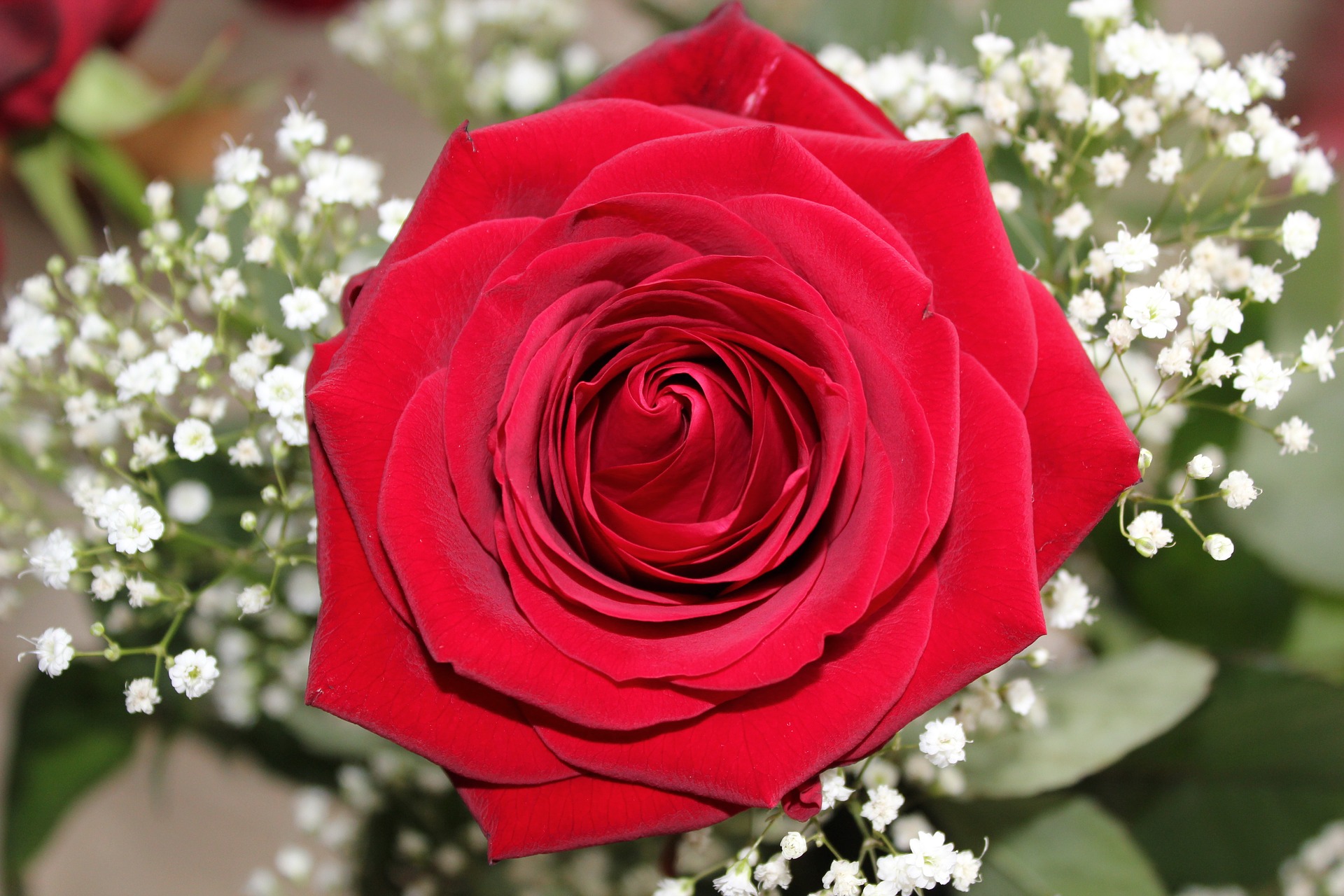 Still need the perfect Valentine s Day gift-image