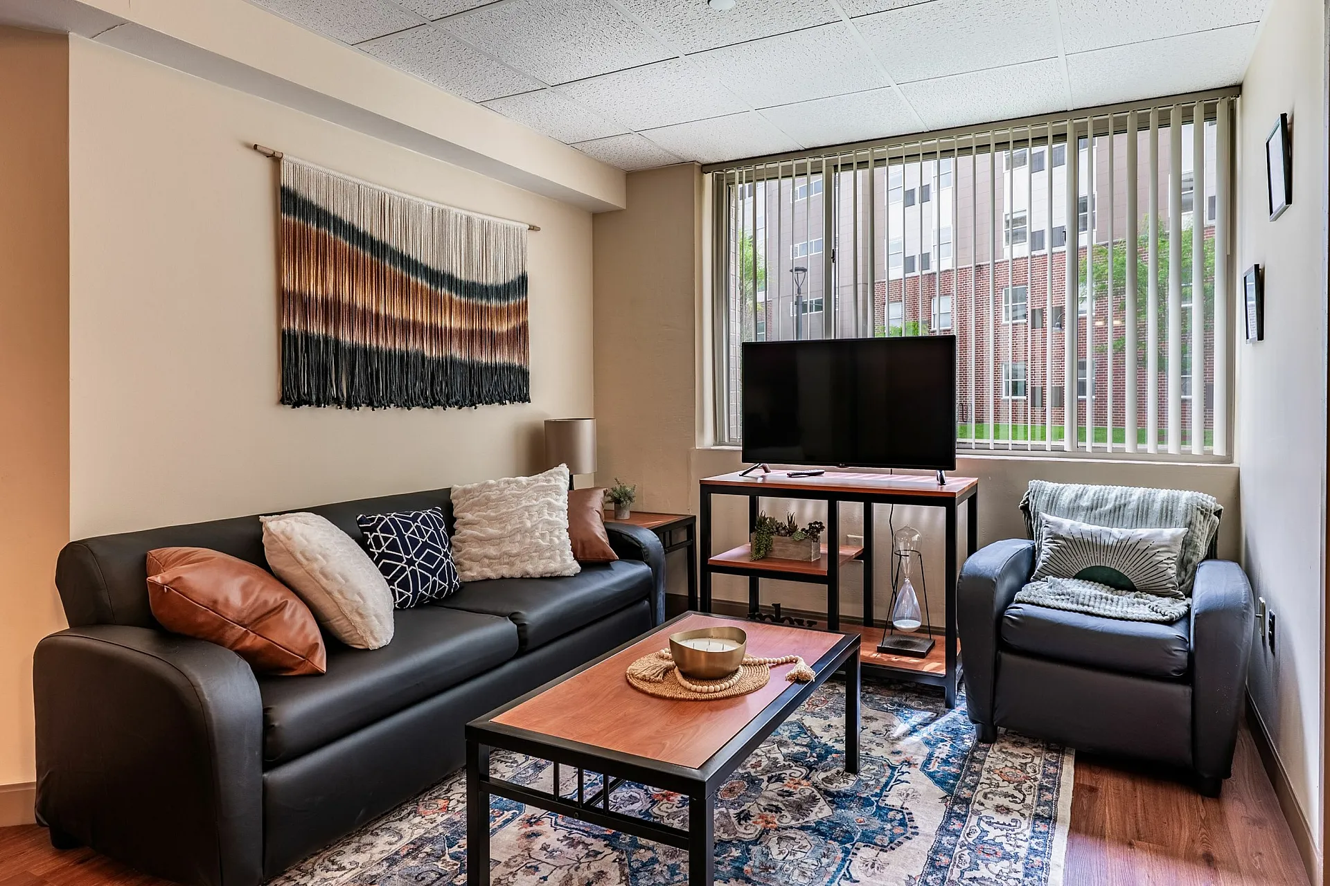 Cozy living room with modern decor, featuring a stylish black sofa, a patterned rug, and a light-filled window view.