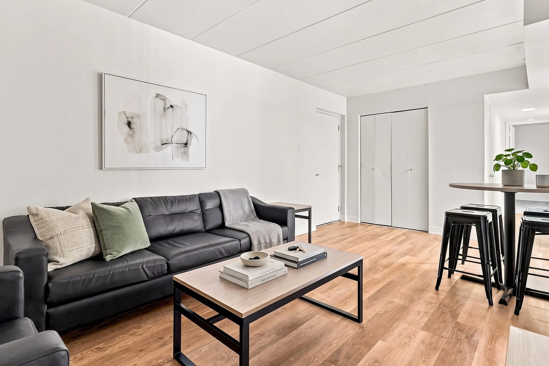 Camelot Apartments - Modern Living Room