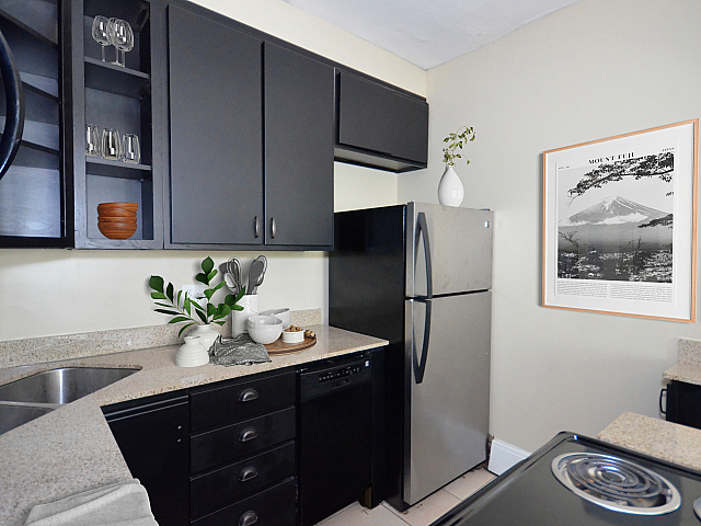 Modern kitchen with sleek black cabinets, stainless steel appliances, and elegant decor, perfect for culinary creativity.