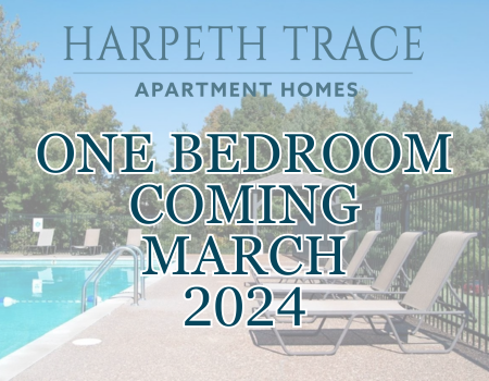 Welcome Home to Harpeth Trace Apartments! Pre-leasing our spacious one bedroom apartment home! Ready for move in early March! Schedule your tour today! EHO