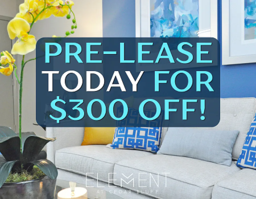 Element at Cedar Bluff