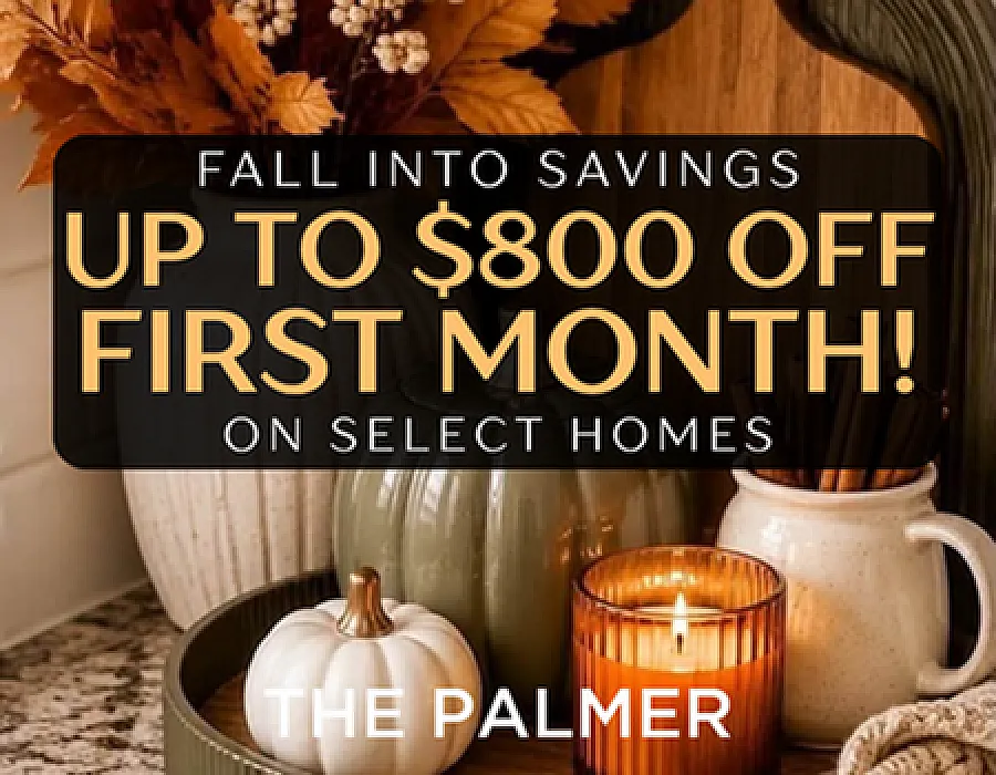 Palmer