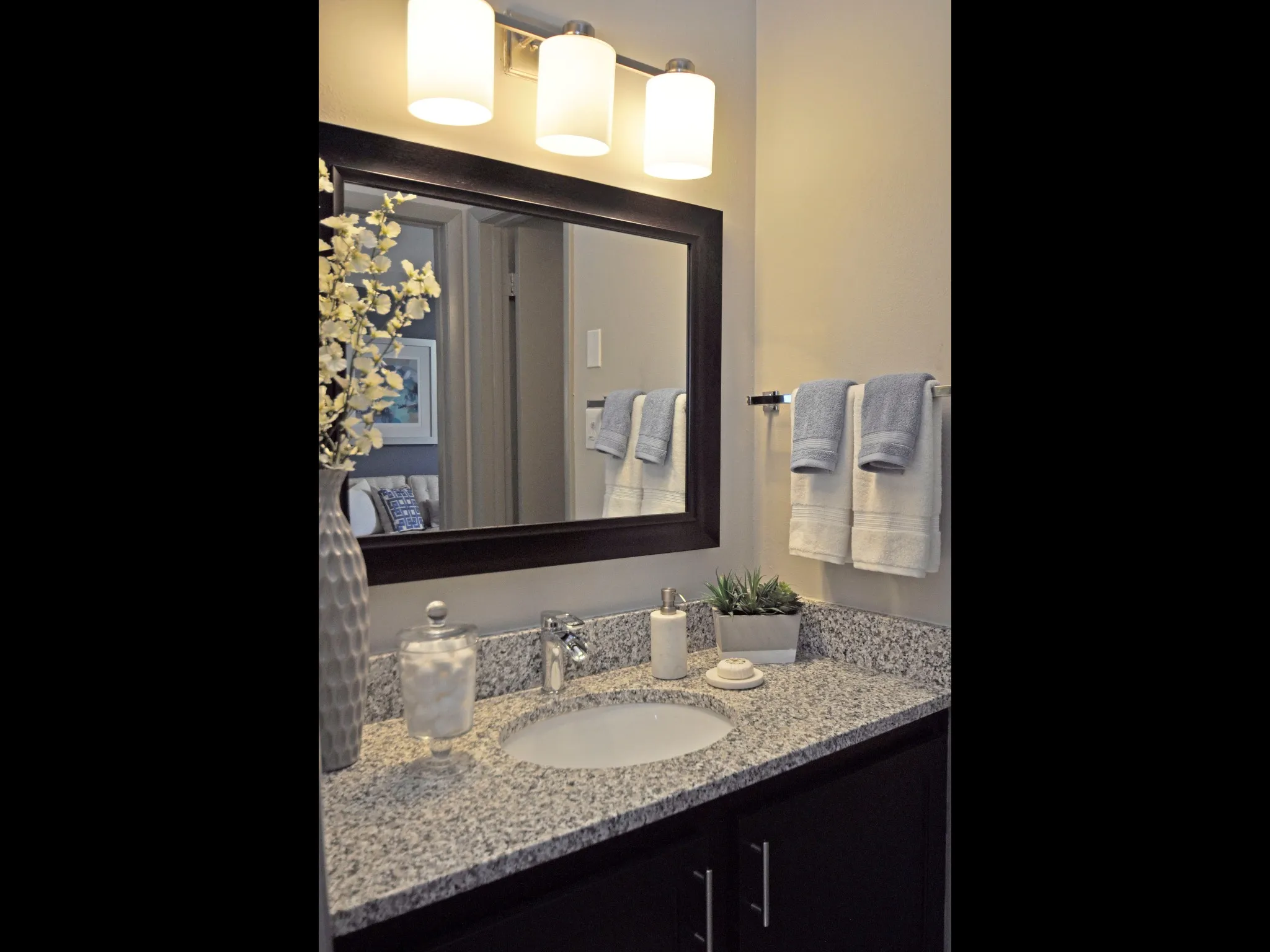 Element at Cedar Bluff Apartments