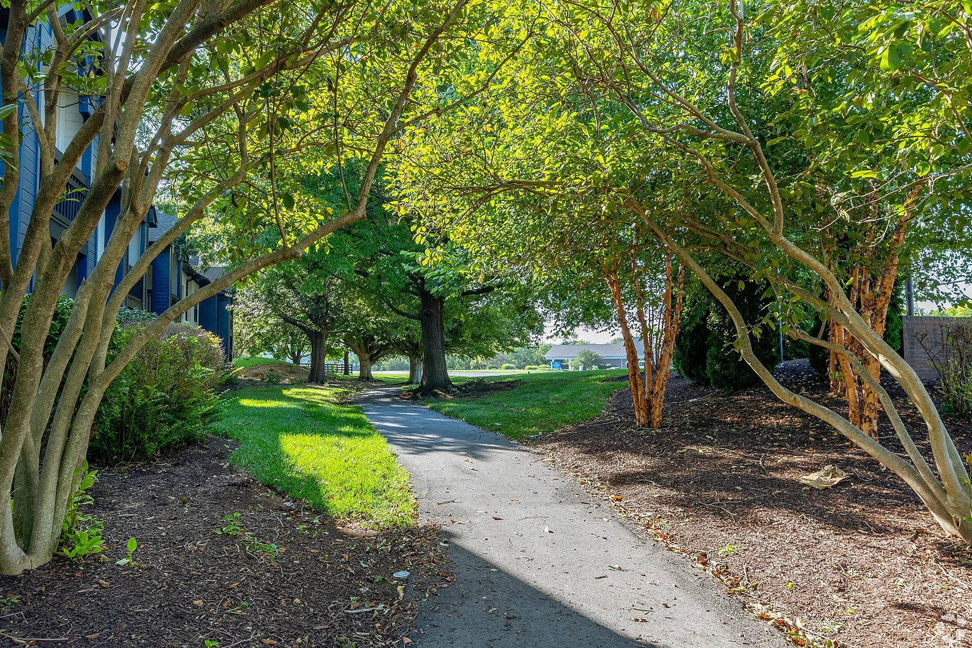 Apartments in Louisville