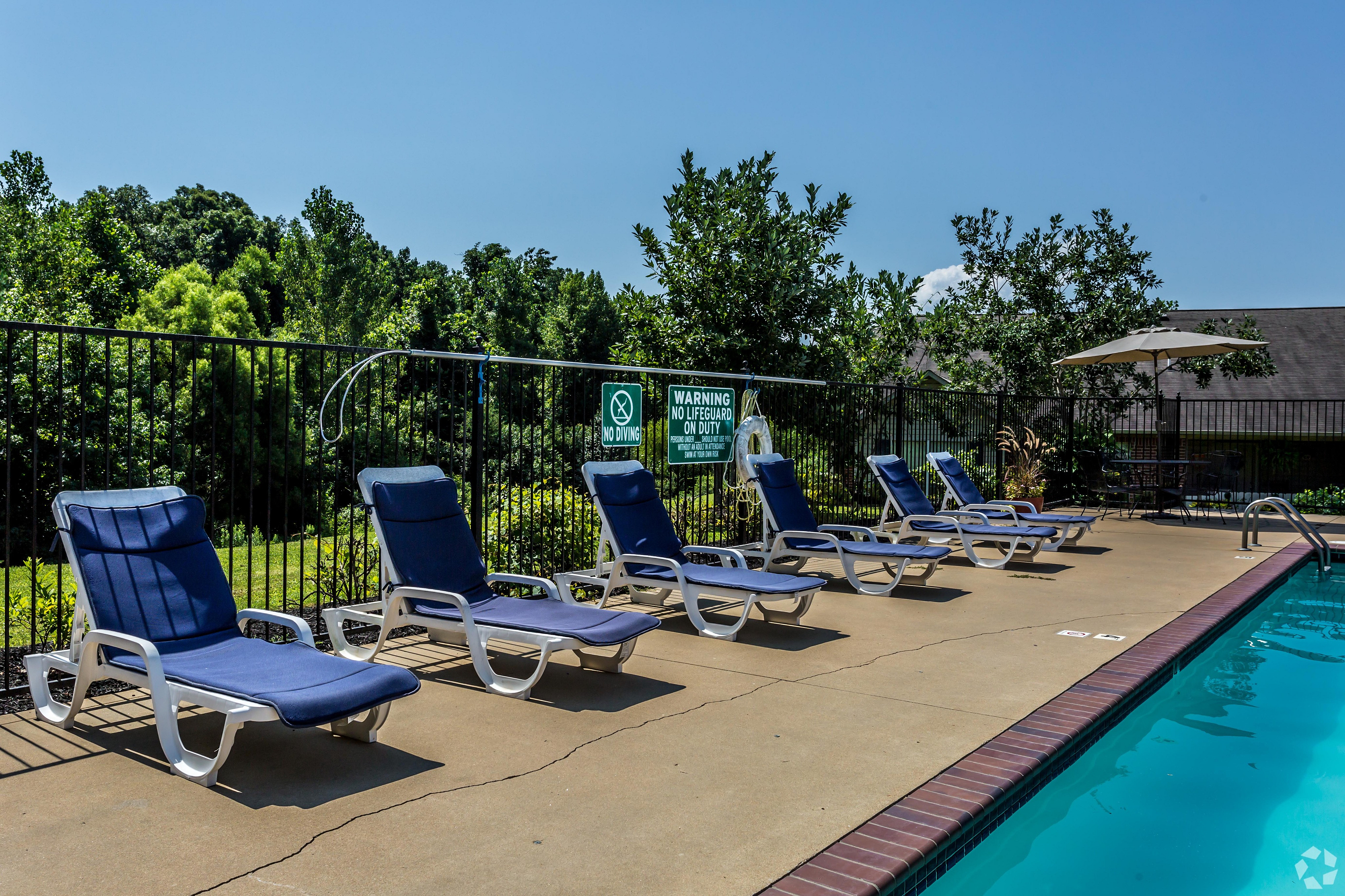 Inviting outdoor pool area with blue lounge chairs under a clear sky, surrounded by lush greenery.