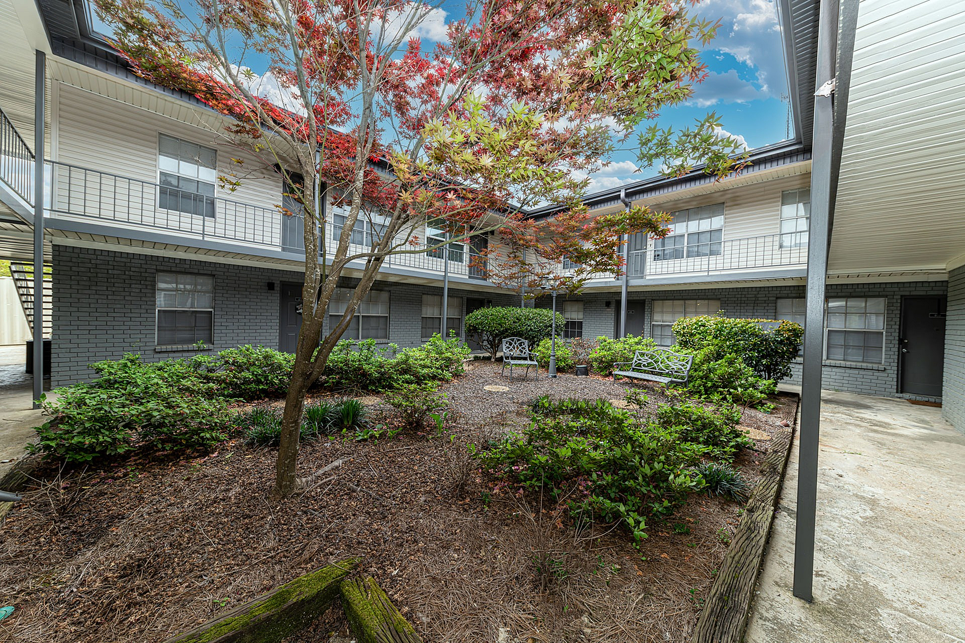Inviting apartment courtyard with lush greenery, vibrant red maple tree, and elegant benches, creating a serene community space.