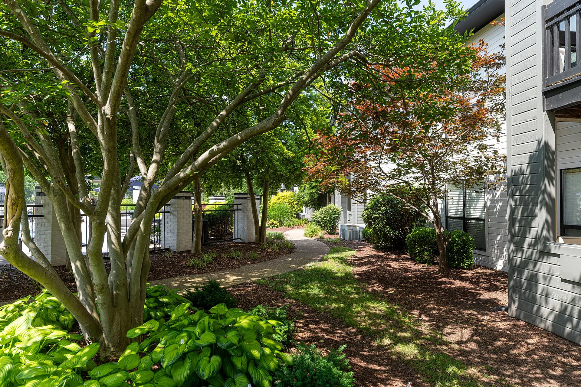 Charming garden view of a serene apartment pathway lined with lush greenery and mature trees.