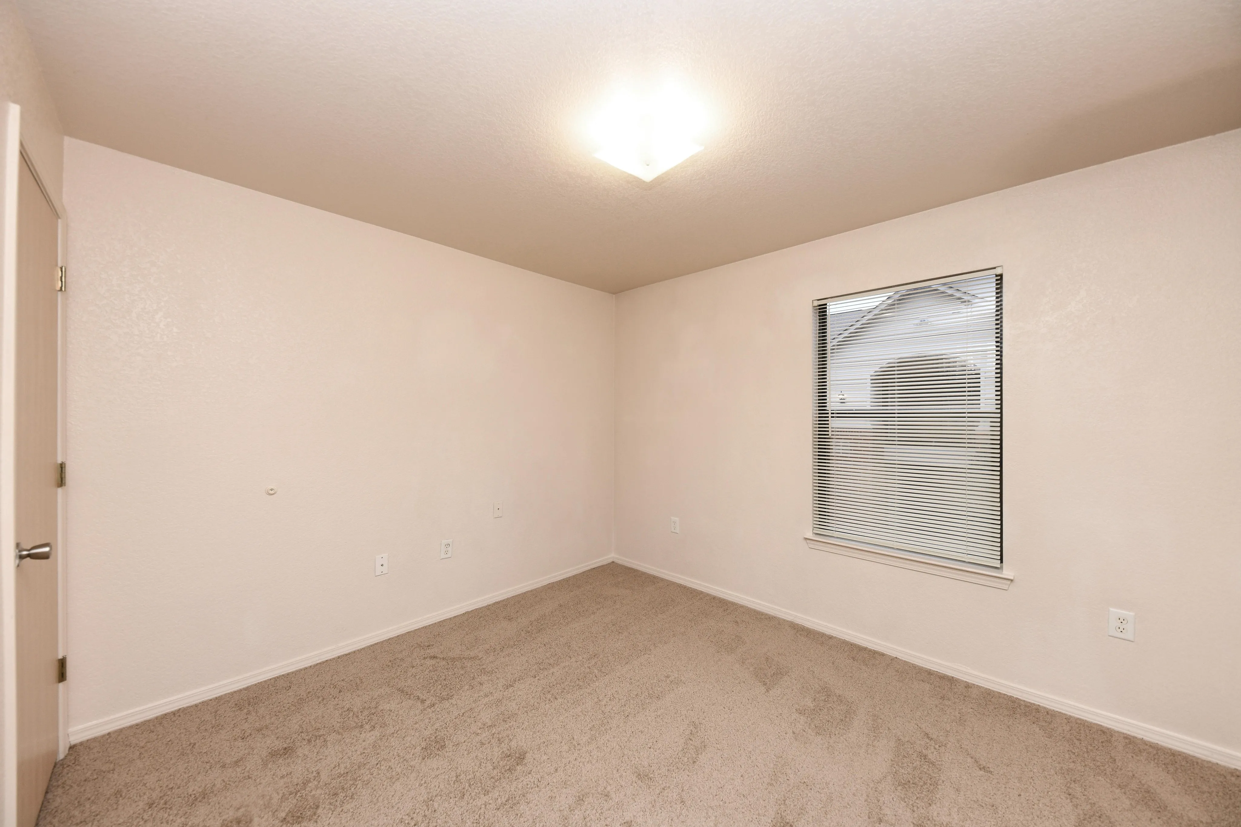 Cozy apartment room with plush carpet, soft beige walls, and a large window providing ample natural light.