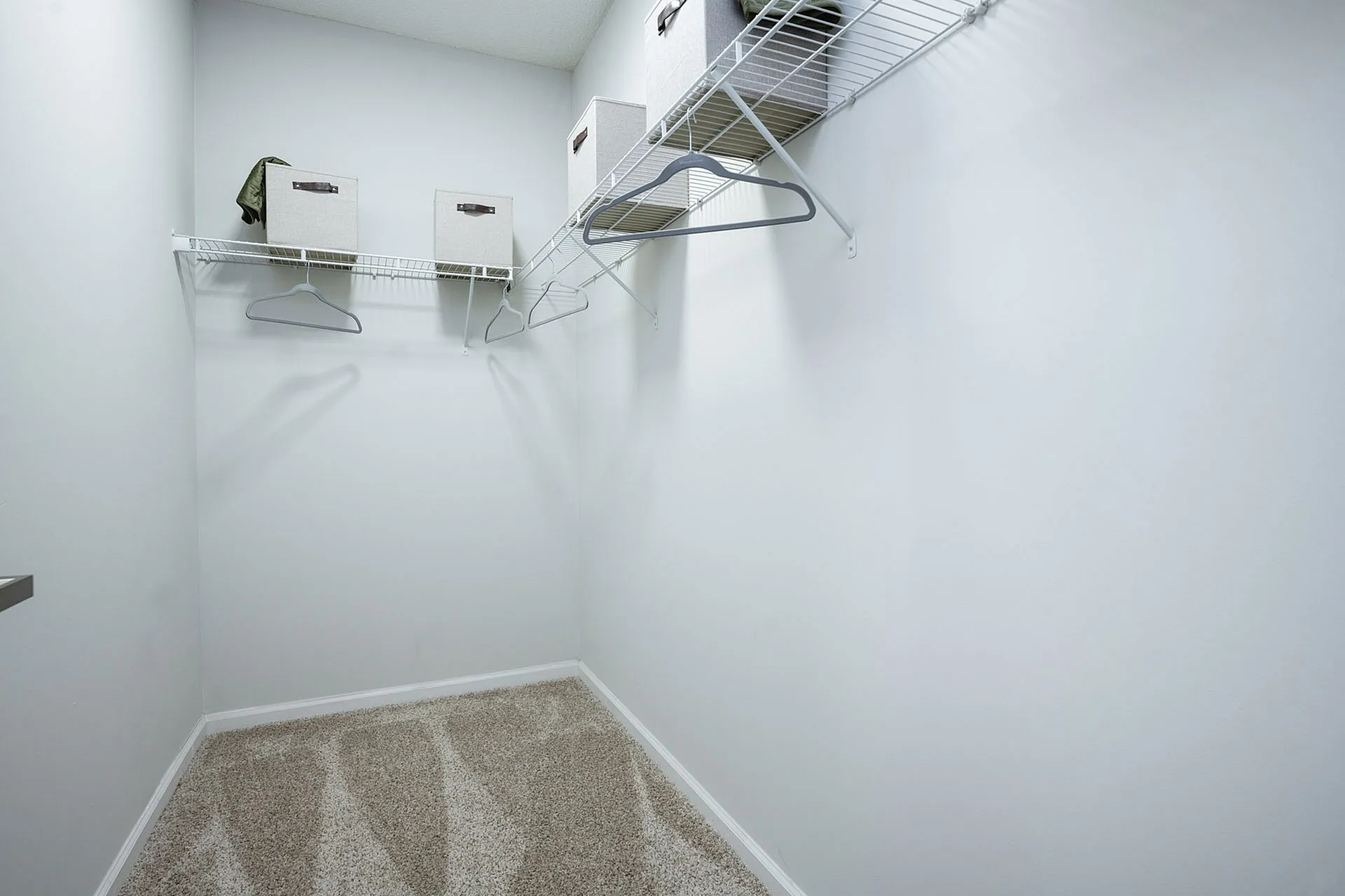 Spacious walk-in closet with plush carpeting, sleek wire shelving, and stylish storage bins.