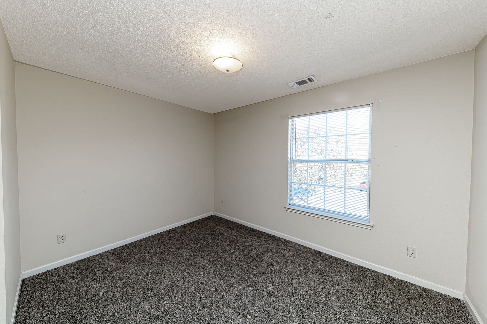 Bright and cozy bedroom with fresh neutral walls and plush carpeting, lit by natural light from a large window.
