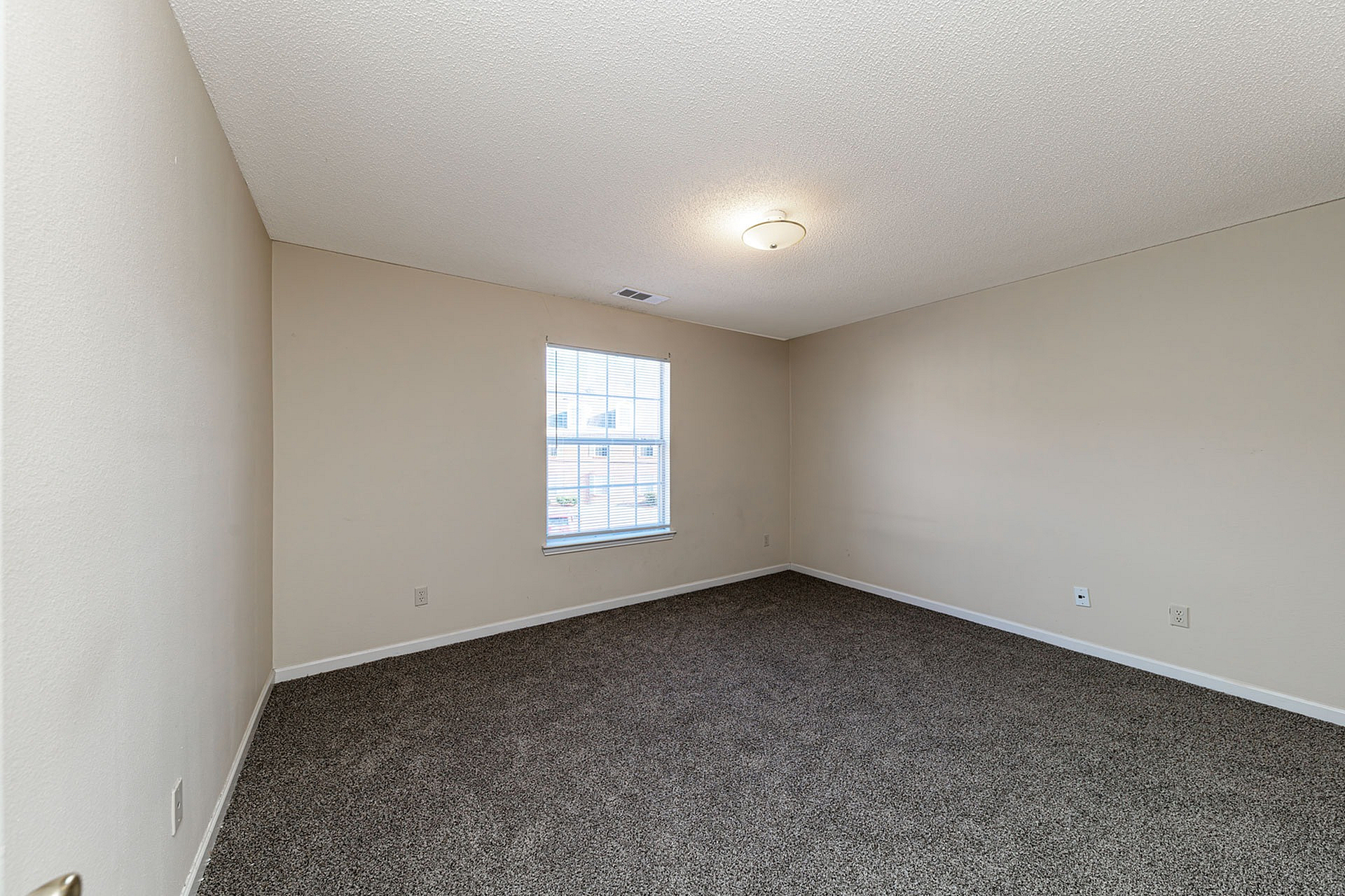 Bright and spacious room with plush carpeting and a large window inviting natural light.