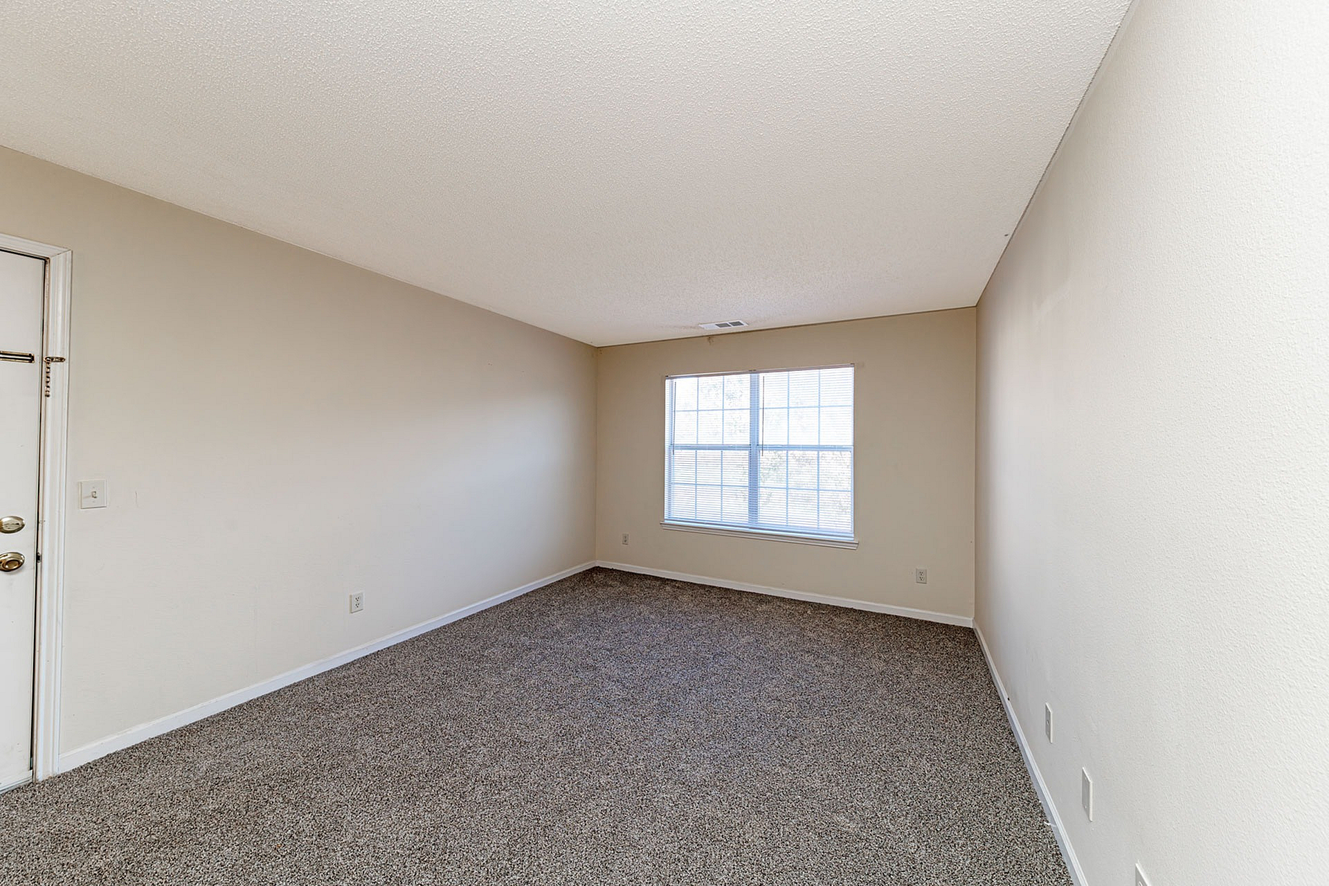 Bright and spacious room with plush carpeting and a large window, perfect for creating a cozy and inviting living space.