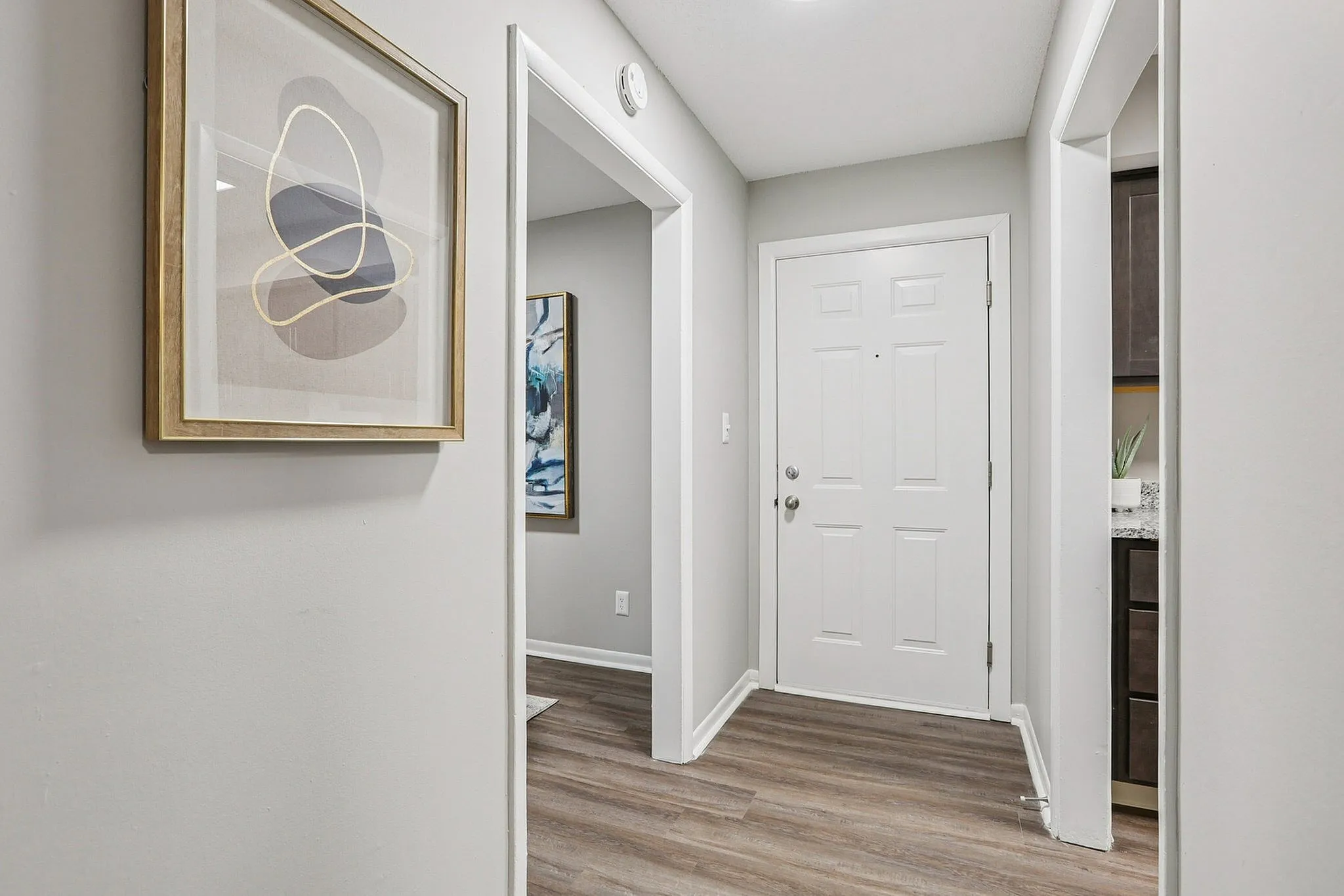 Welcoming apartment entryway showcasing elegant wall art and modern wood flooring, setting a stylish tone for living.