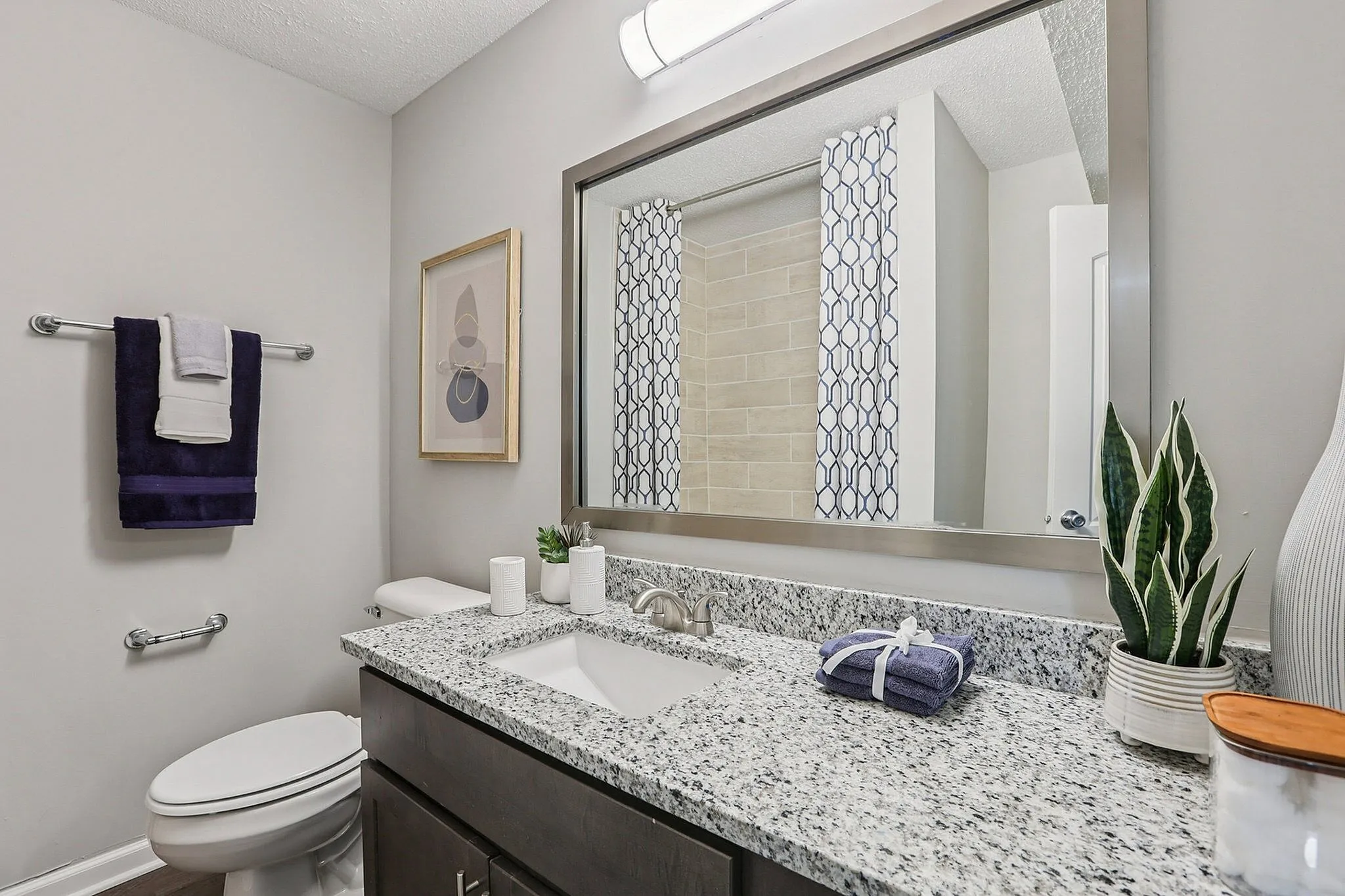 Chic modern bathroom featuring a granite countertop, stylish mirror, and elegant geometric shower curtain, accented with vibrant purple towels and a lush potted plant.