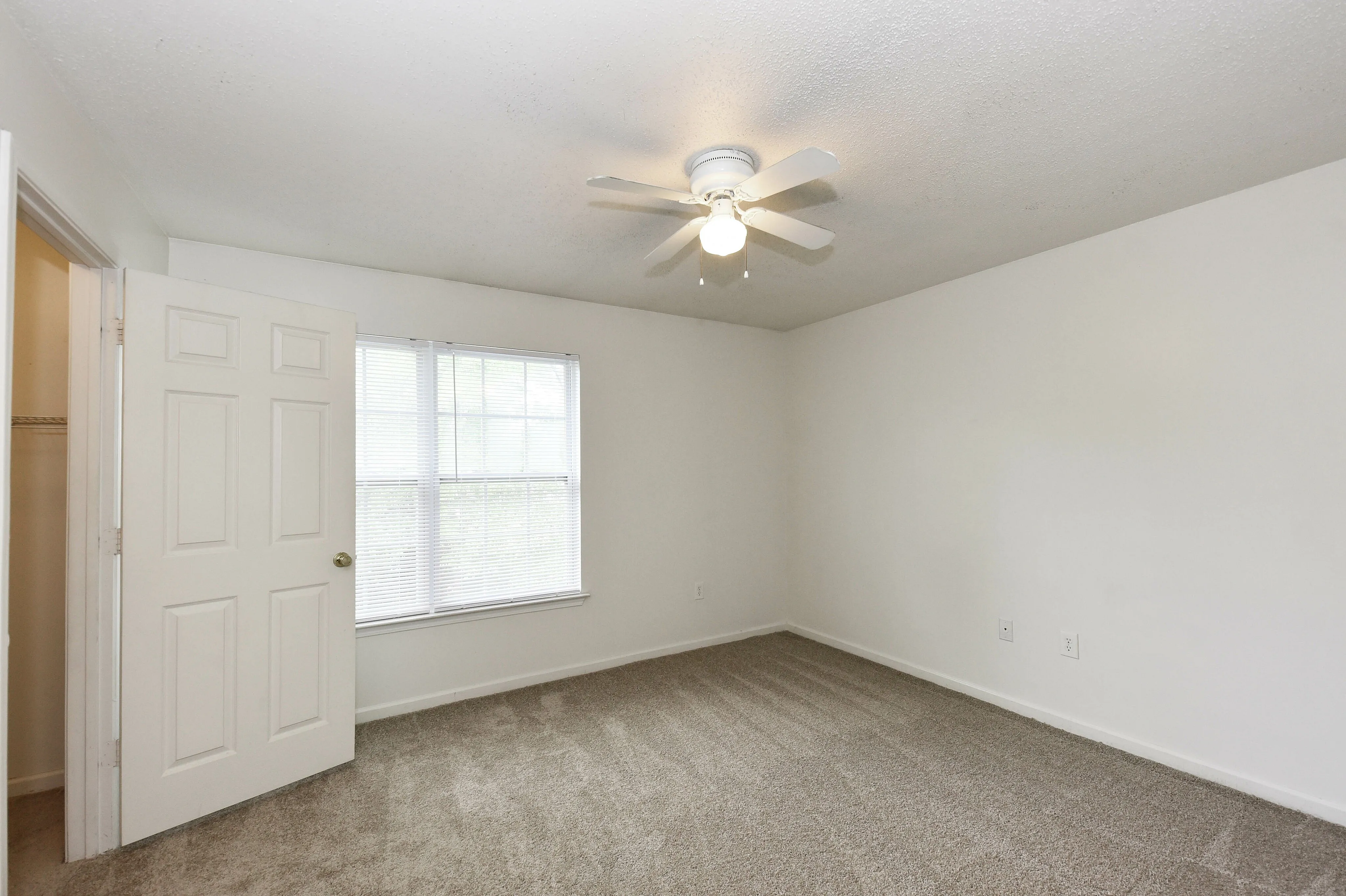 Bright, freshly painted room with plush carpeting and a ceiling fan, adjacent to a walk-in closet and large window for natural light.
