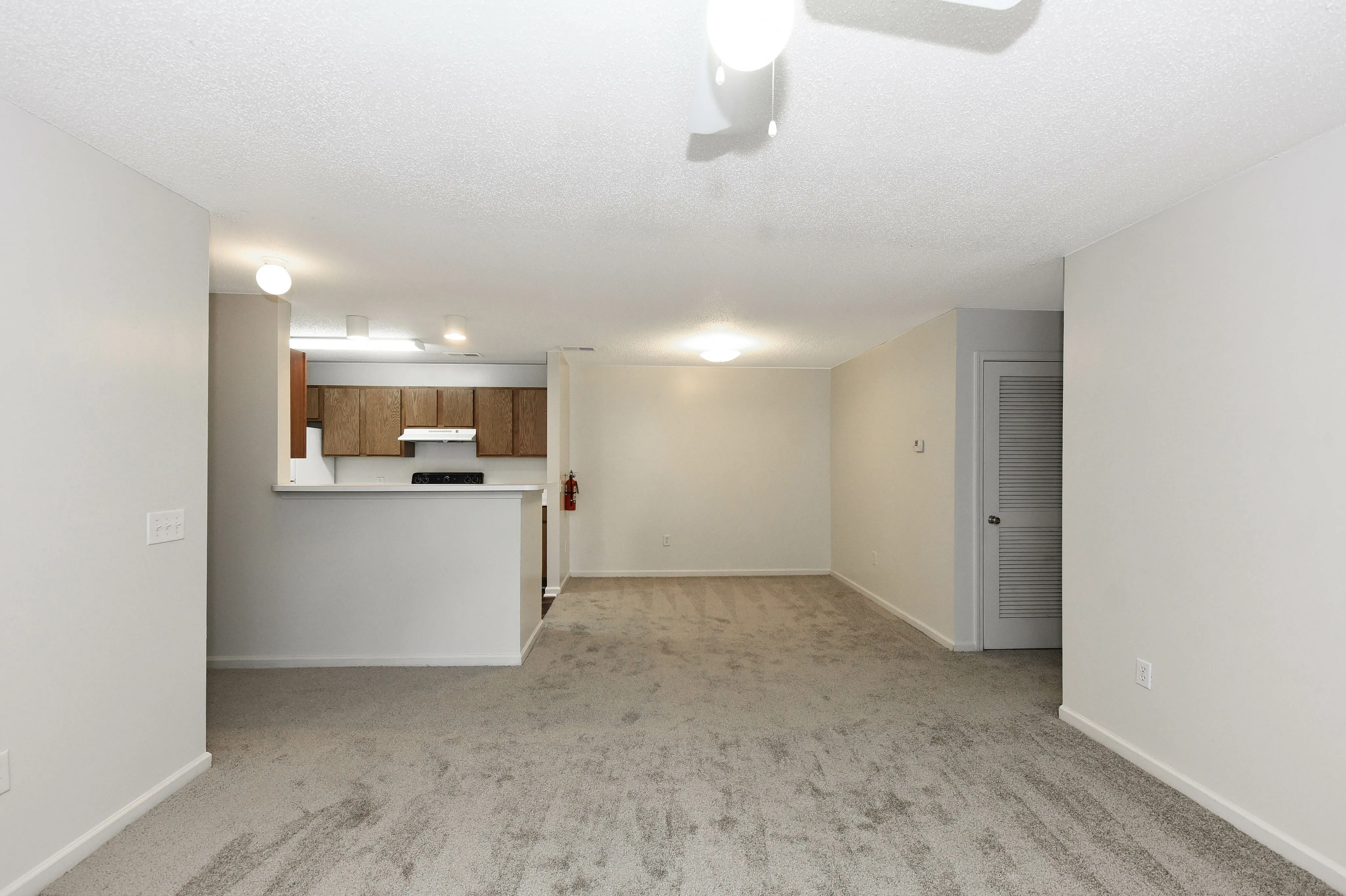 Bright and inviting open-concept living space with plush carpeting, modern kitchen area, and ample lighting.