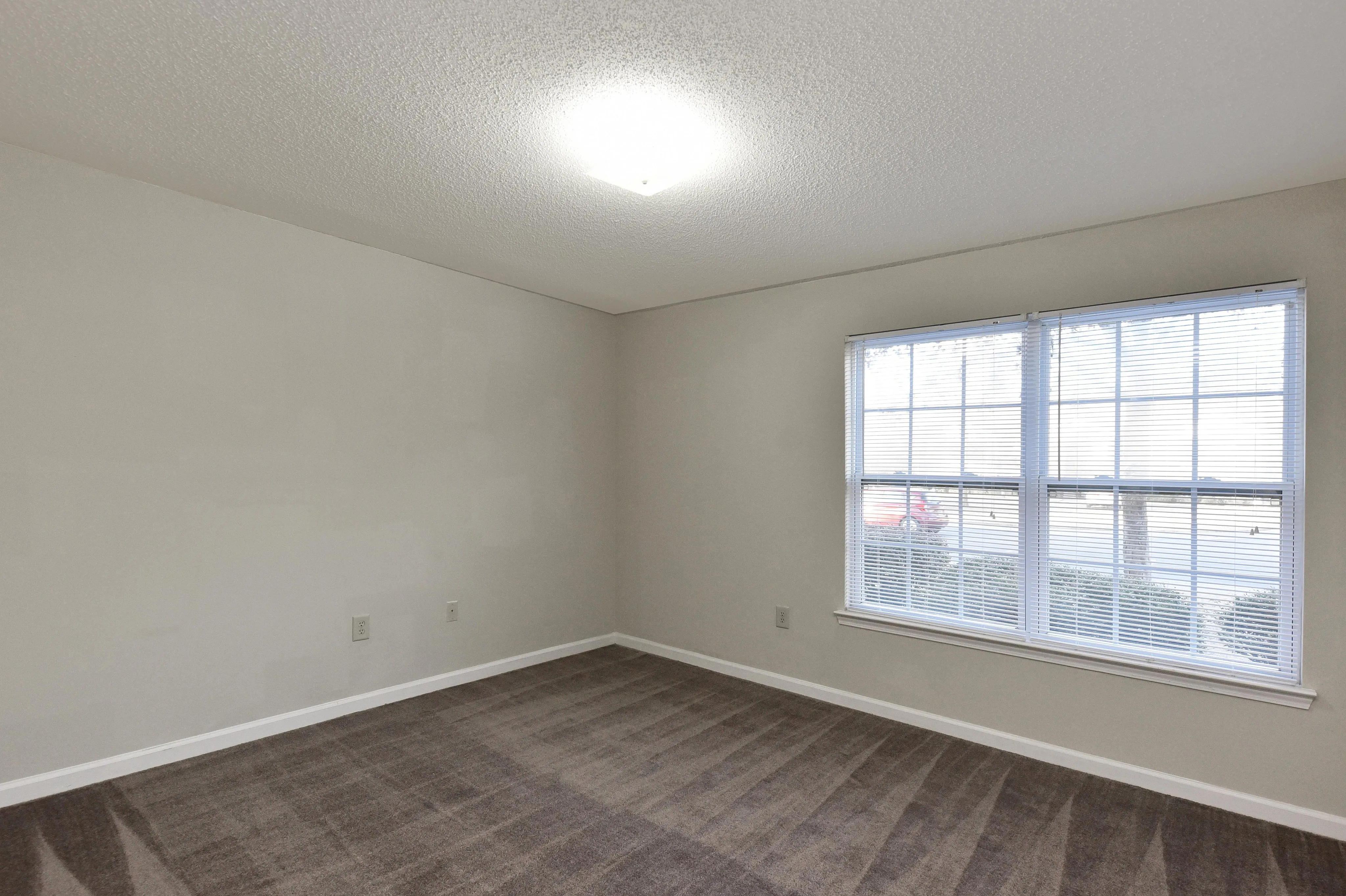 Bright and airy room with soft carpeting, neutral walls, and a large window offering abundant natural light.