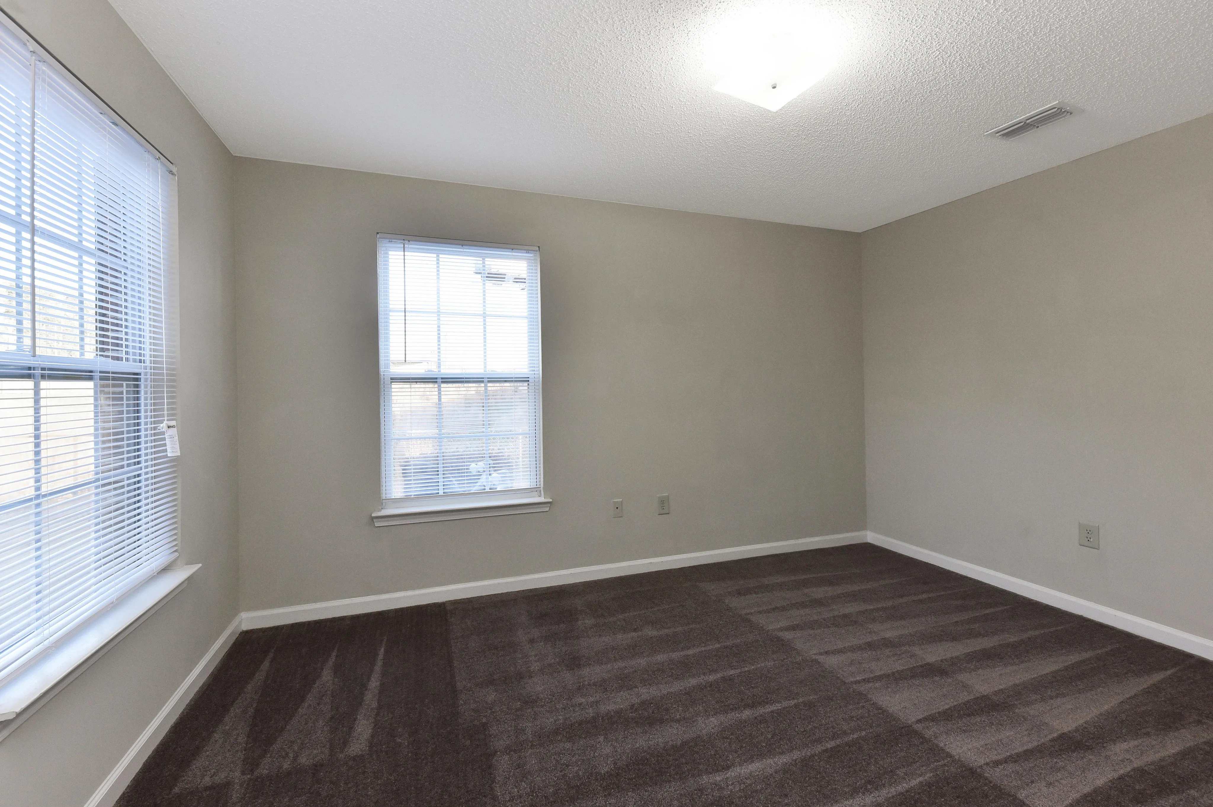 Bright and spacious room with large windows and plush carpeting, offering abundant natural light and a cozy atmosphere.