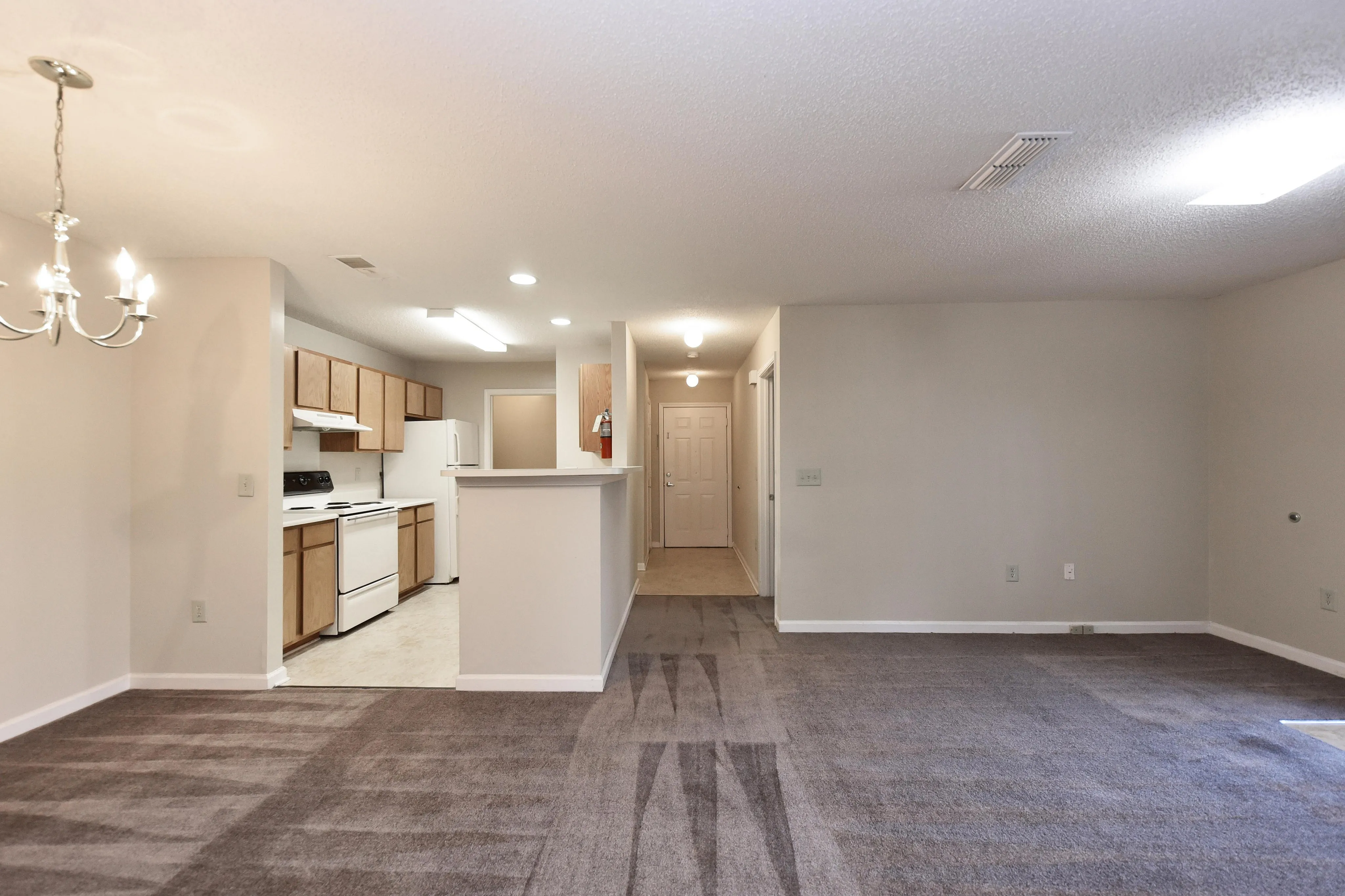Bright open-plan living area featuring cozy carpet flooring, a modern kitchen with wooden cabinetry, and elegant lighting perfect for entertaining.