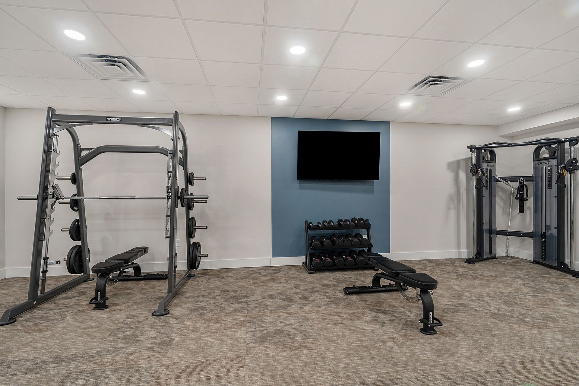 Modern fitness center with state-of-the-art gym equipment, including a weight rack, bench, and exercise machines against a sleek blue accent wall.