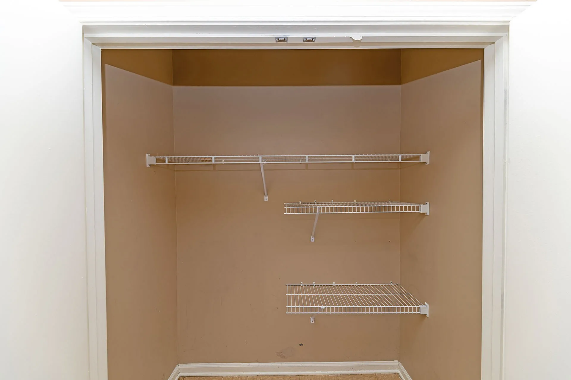 Spacious closet with efficient shelving, perfect for organized storage solutions.