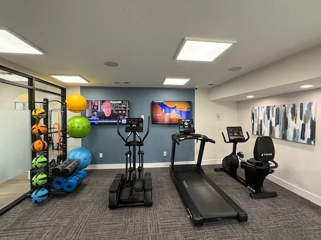 Modern fitness center featuring state-of-the-art treadmills, vibrant exercise balls, and a sleek cycling machine, perfect for an energizing workout.