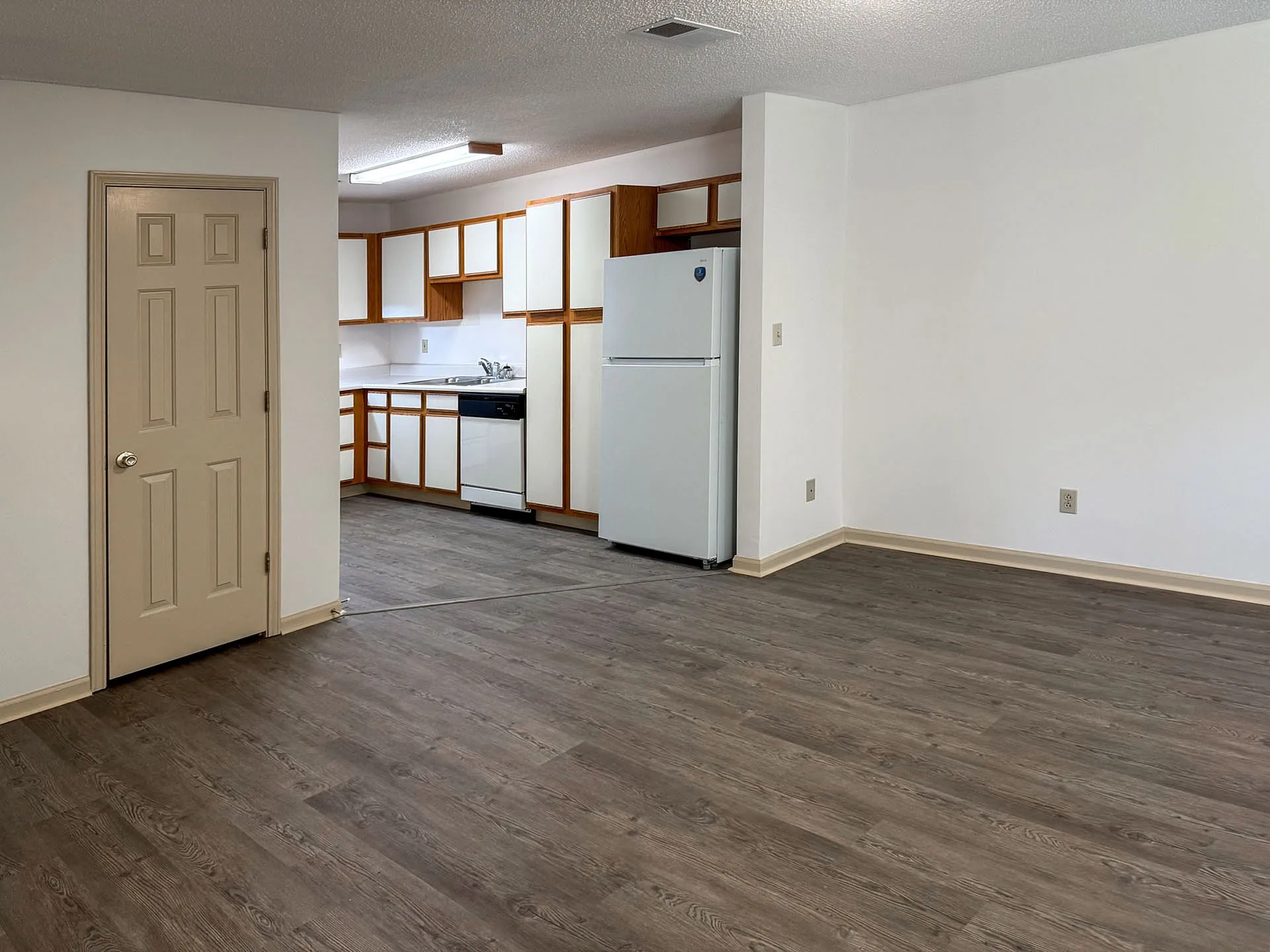 Bright and inviting open-plan kitchen and living area with modern appliances and stylish wood flooring.