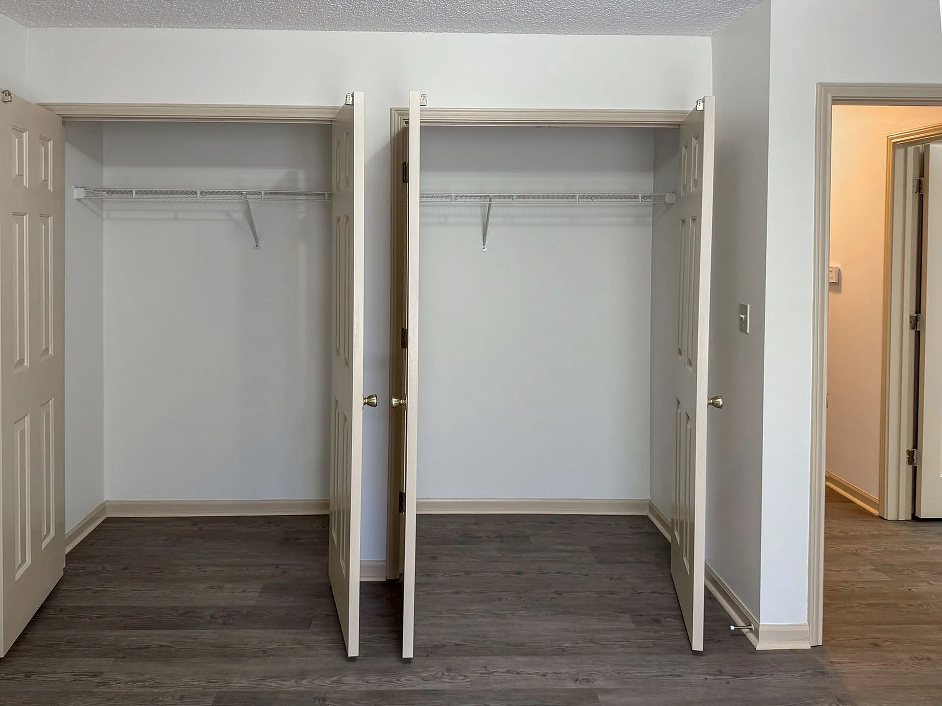Modern apartment with dual spacious closets and sleek hardwood flooring, offering ample storage and style.