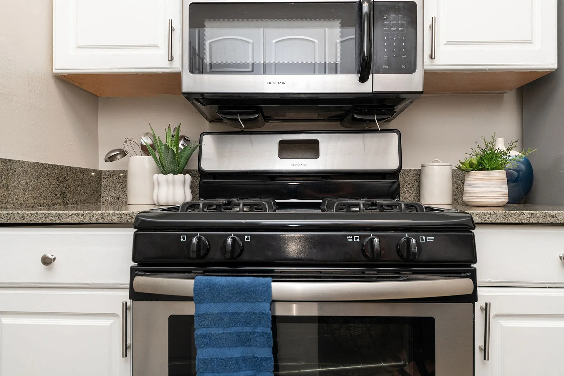 Modern kitchen with sleek stainless steel appliances, granite countertops, and lush green plants for a fresh touch.