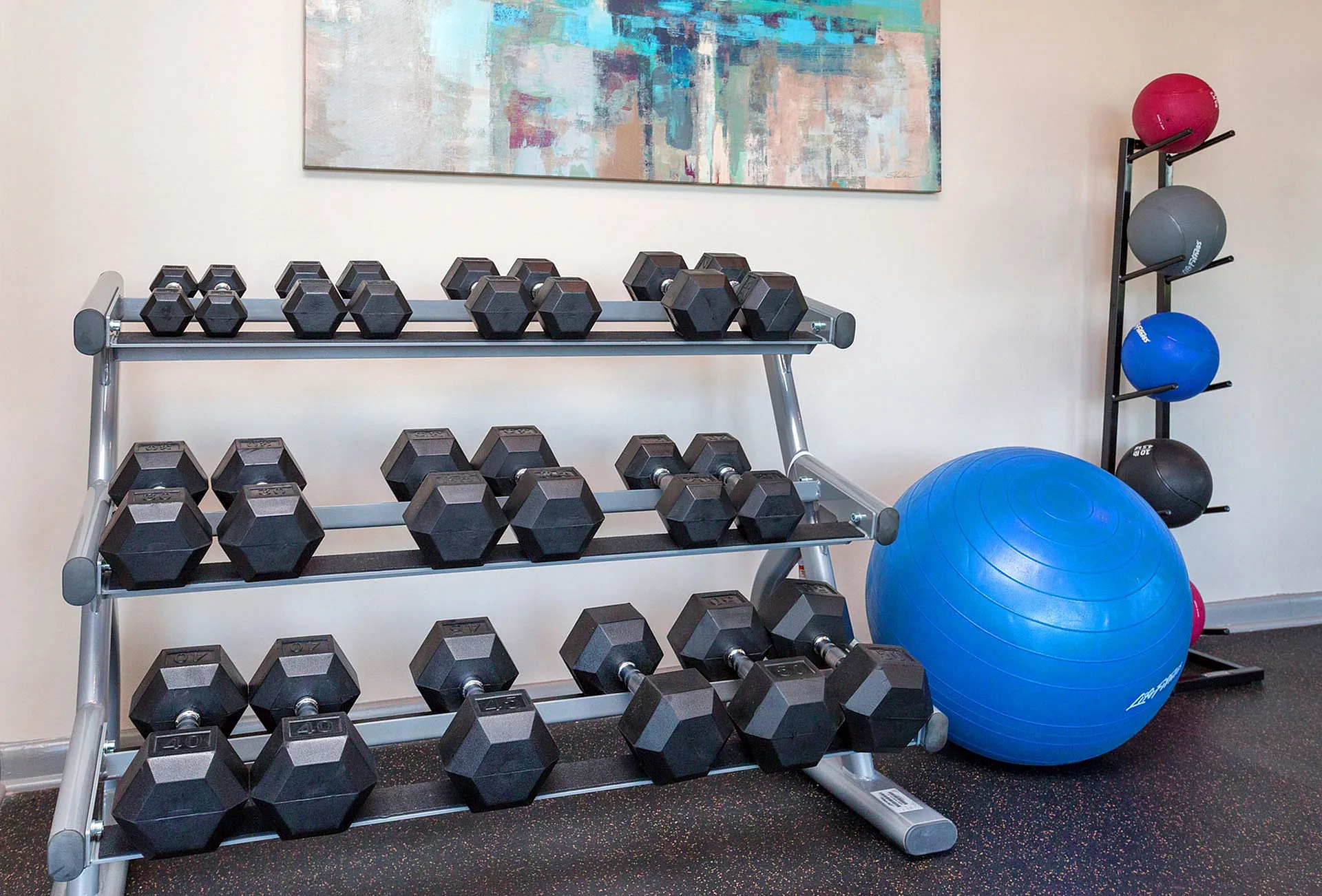 Modern gym area with a sleek rack of dumbbells, vibrant exercise balls, and contemporary art on the wall, ideal for a dynamic workout.