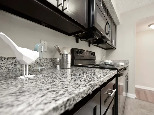 Granite Counters