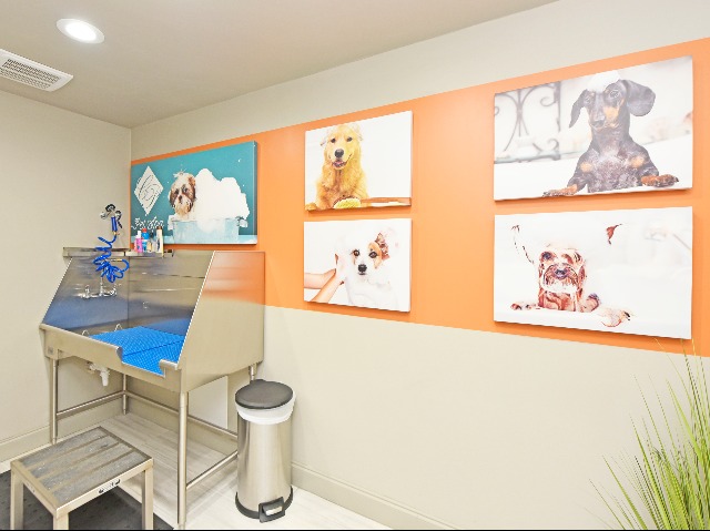 Pet Friendly with Dog Spa