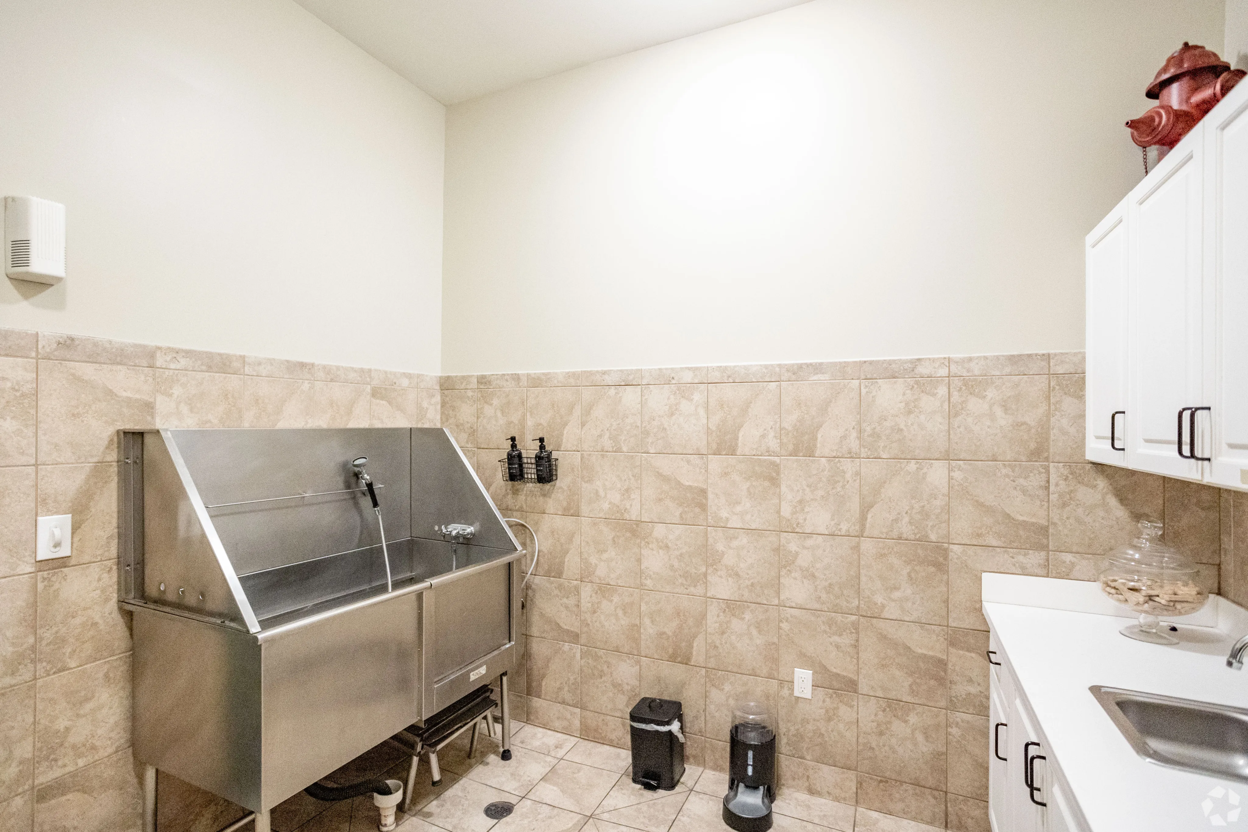 Pet Friendly in the Gulch