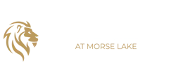 Lion's Creek