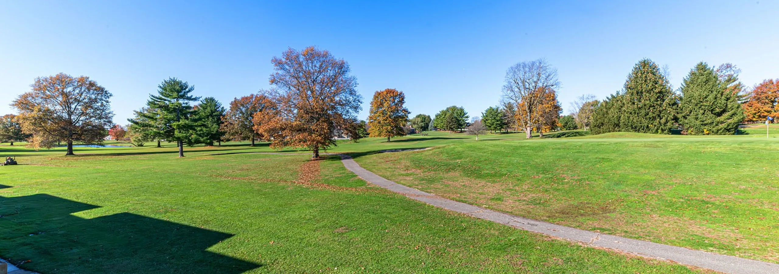 Expansive green landscape view with mature trees under a clear blue sky.