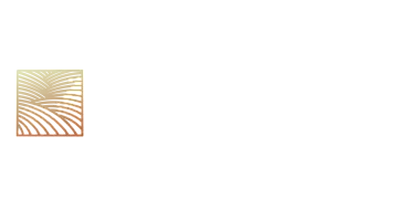 Elegant logo design for Collective at Sutherland with stylized leaf pattern.