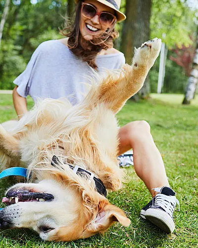 Woman in a park enjoying playful moments with a golden retriever on the grass.