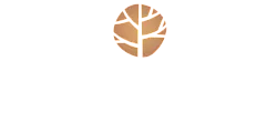 Elegant Hampton Creek logo featuring a stylized tree within a circle.