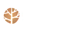 Elegant Hampton Creek logo with a stylized tree design.