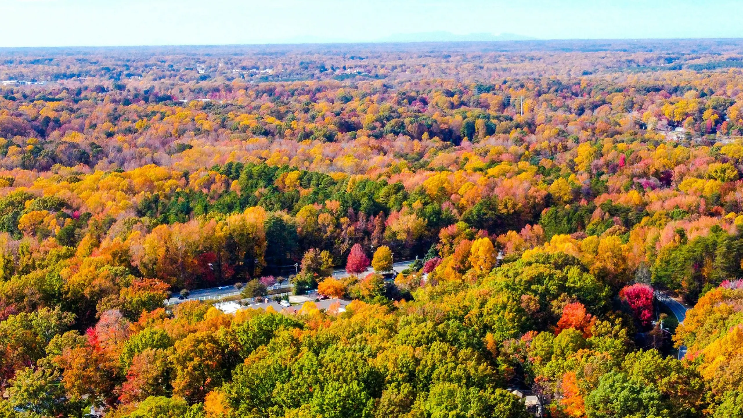 Greensboro, NC