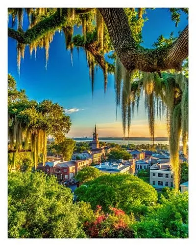 Enchanting cityscape view with lush greenery, historic architecture, and dramatic Spanish moss under a vibrant sunset.
