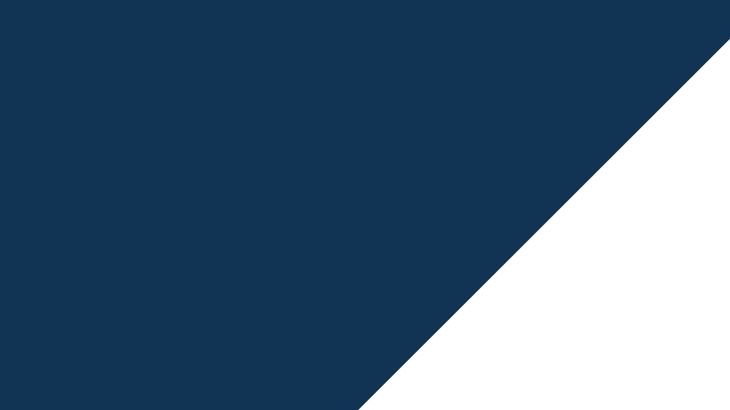 Elegant geometric pattern with a bold navy blue and clean white diagonal design, ideal for modern apartment aesthetics.