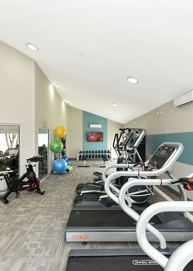 Modern fitness center featuring state-of-the-art treadmills, exercise bikes, and a selection of colorful exercise balls and weights.