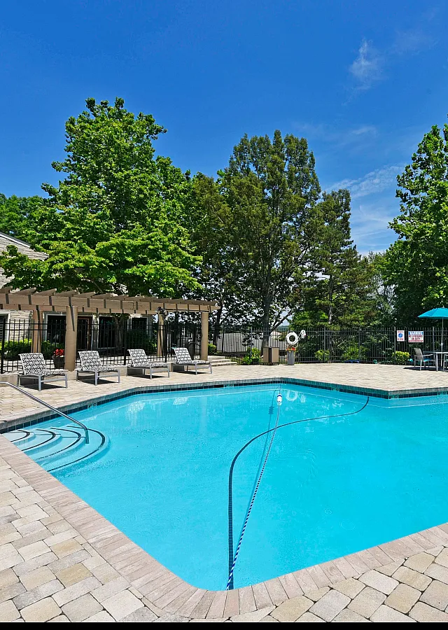 Inviting swimming pool area with elegant lounge chairs, surrounded by lush greenery and clear blue skies, perfect for relaxation and leisure.