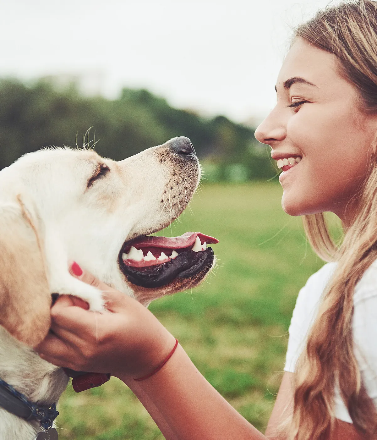 Joyful woman gently petting her happy Labrador in a lush green park.